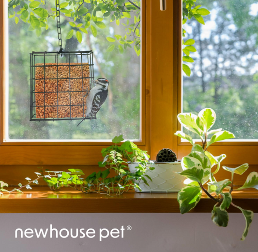 Suet Bird Feeder