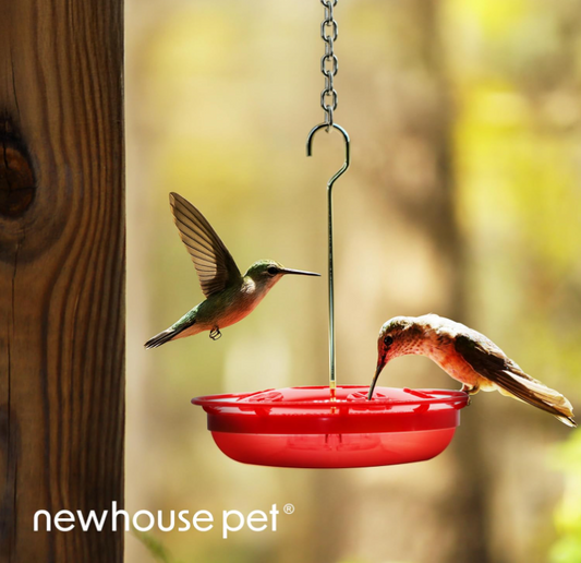 Hummingbird Tray Feeder