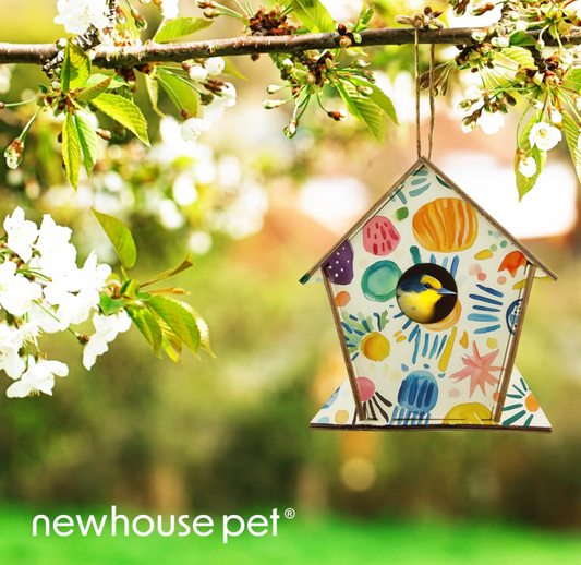 DIY Wooden Bird House