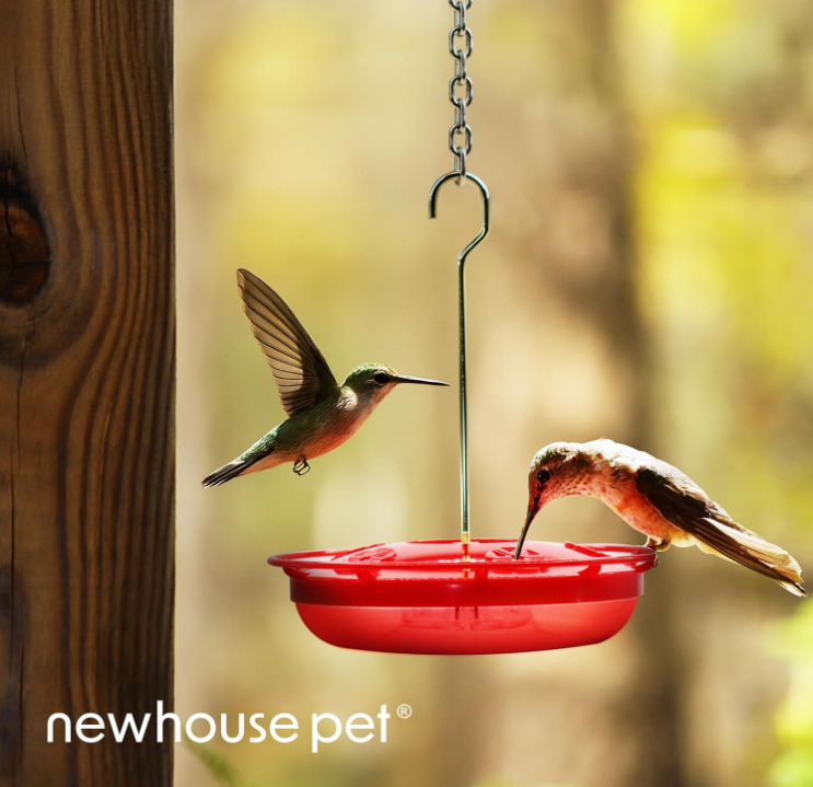 Hummingbird Tray Feeder